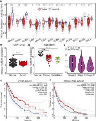 RETSAT Mutation Selected for Hypoxia Adaptation Inhibits Tumor Growth